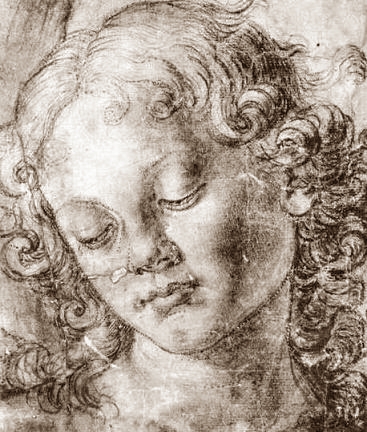 Kopf eines Engels  Andrea del Verrocchio  2. Hälfte  15.Jahrhundert