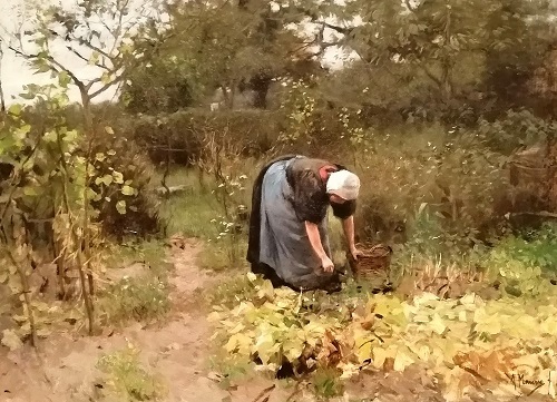 Die Gemüsegärtnerin